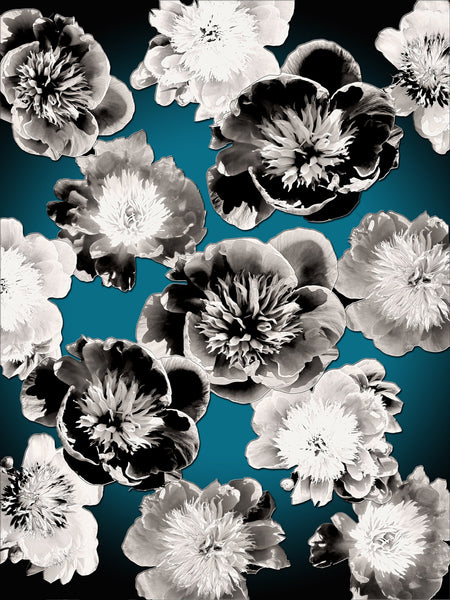 FB's Peony Photomontage REMIX Teal Vignette- Print
