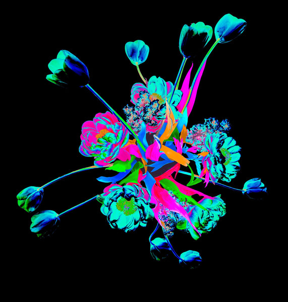 Bouquet 36, 2 Versions -Prints