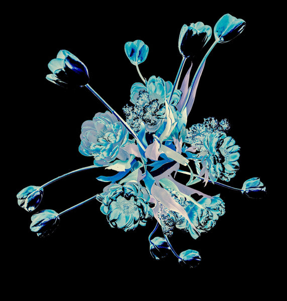 Bouquet 36, 2 Versions -Prints