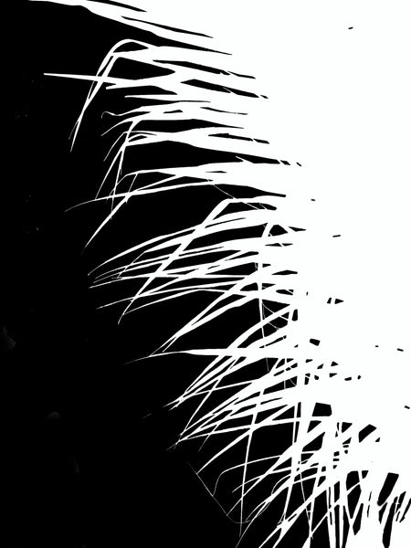 View From My Chaise Lounge Nos. 1 + 2 IN STOCK