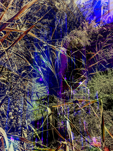 Welcome to the Jungle - 2 Versions