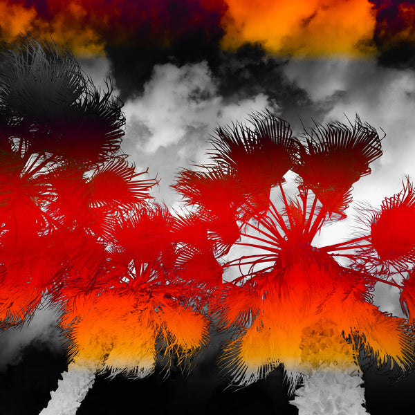 Get Shady- 4 Versions