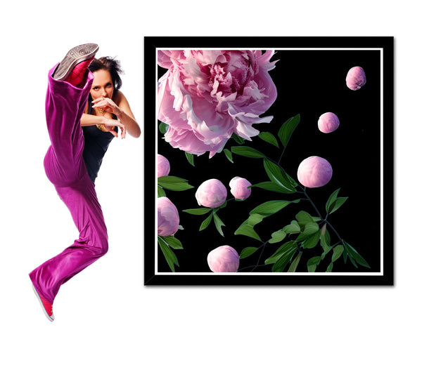 Bouncy Peonies: 30 x 30 Prints