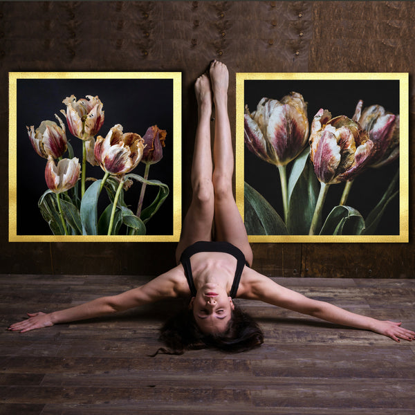 Fading French Tulips Versions 1 - 2 -3