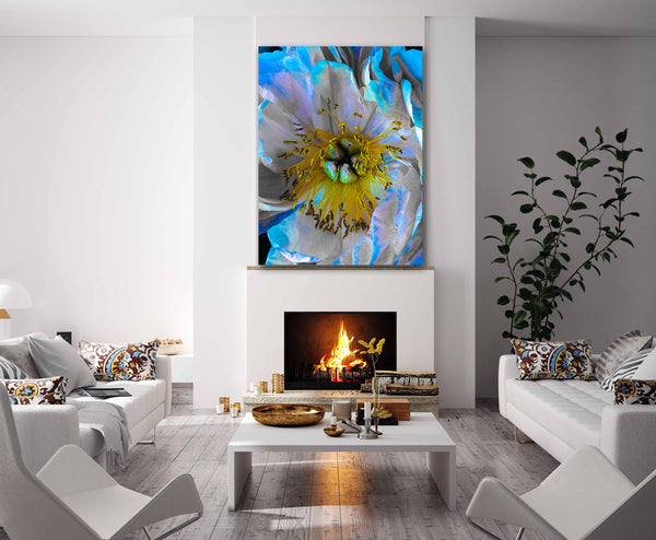 A Peony For Your Thoughts - 2 Versions