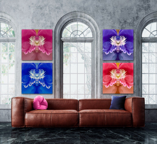 Steamy Peony - 7 Versions