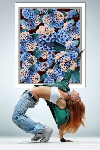 "Made You Look Lantana" - 6 Versions