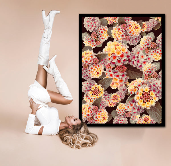 "Made You Look Lantana" - 6 Versions