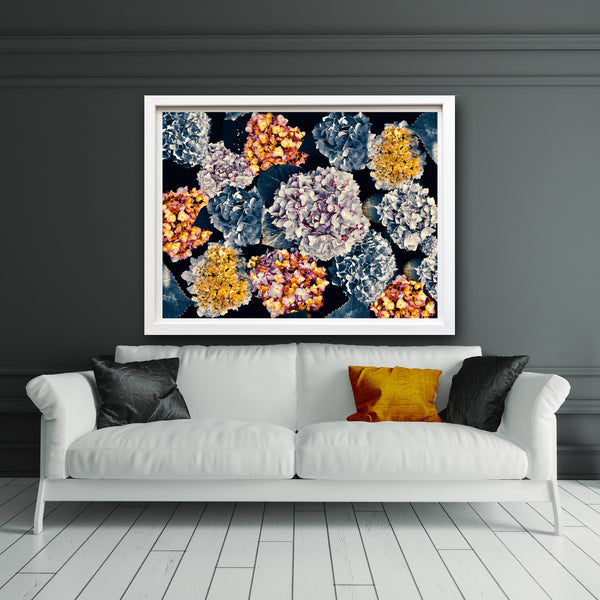 Alexa’s Hydrangeas Photomontage REMIX - 7 Versions