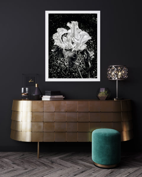 Iris Solo B+ W - PLEXI