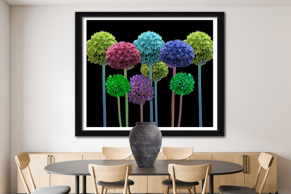 Allium Lollipops
