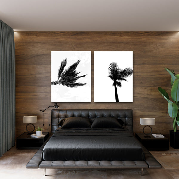 Punta Cana Palms - Black and White