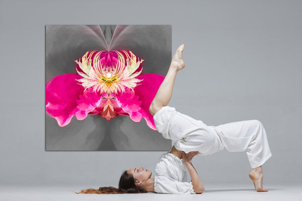 Steamy Peony - 7 Versions