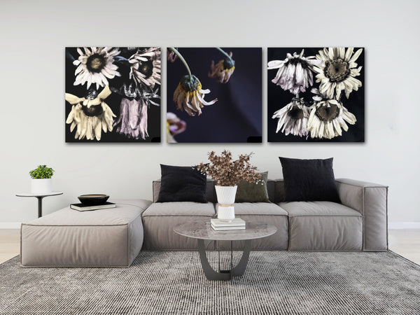 Faded Sunflowers No. 1