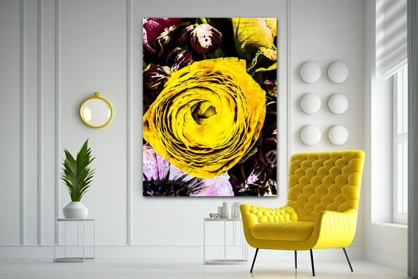 Miraculous Ranunculus - 2 Versions