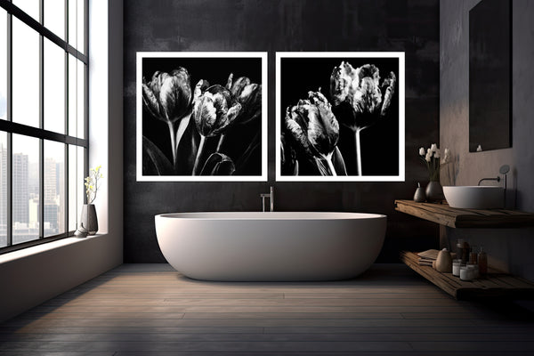 Fading French Tulips Black and White -  Versions 1 - 2 -3