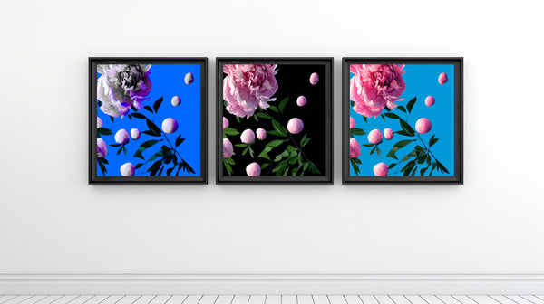 Bouncy Peonies - 6 Versions