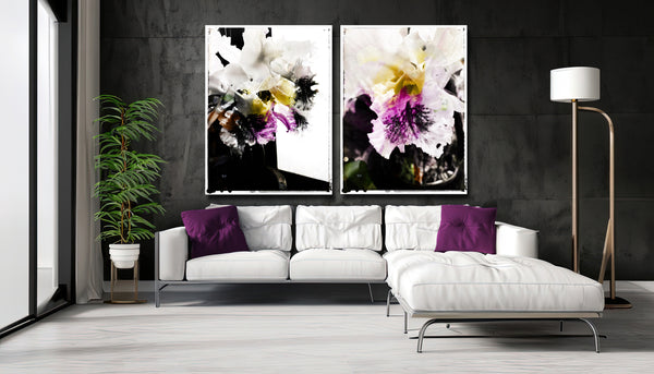 Cattleya Orchid - 3 Versions