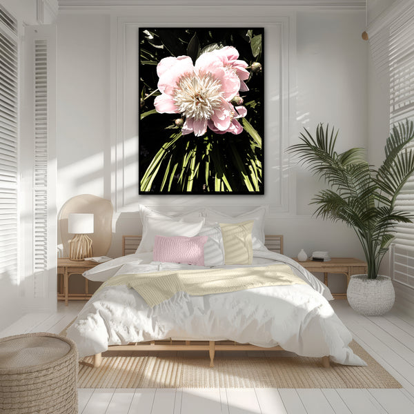 FB's Peonies Solo - 5 Versions