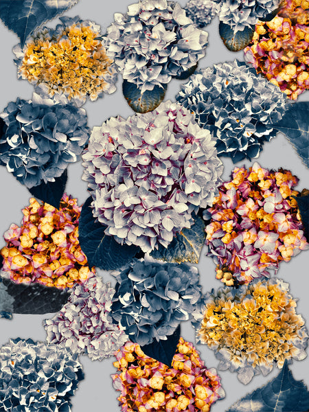 Alexa’s Hydrangeas Photomontage REMIX - 7 Versions