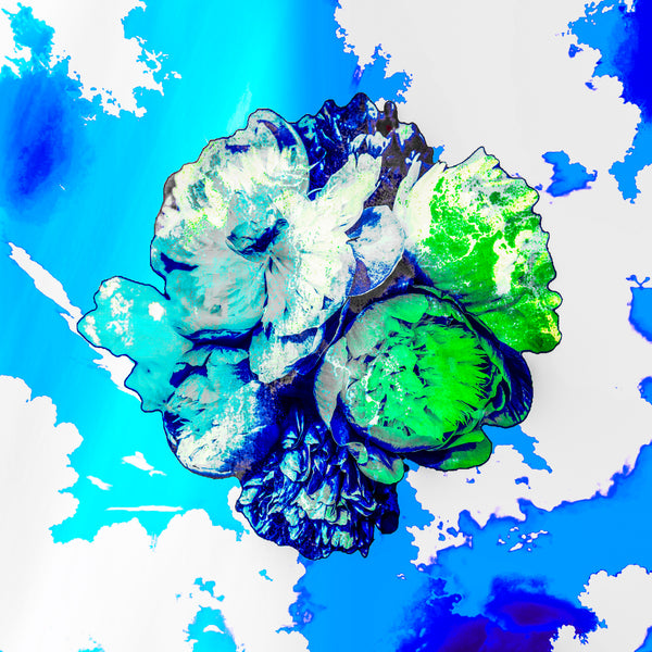 Not a Painting Peonies