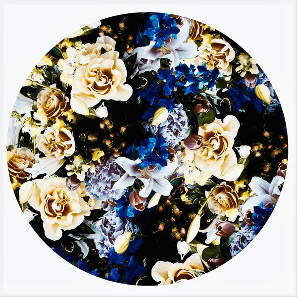 Bloom Boom - 5 Versions