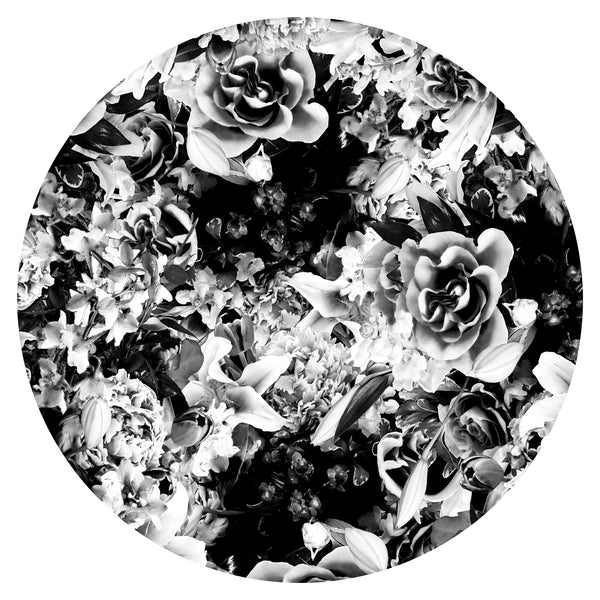 Bloom Boom - 5 Versions