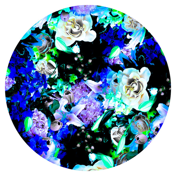 Bloom Boom - 5 Versions