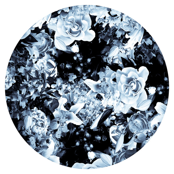 Bloom Boom - 5 Versions