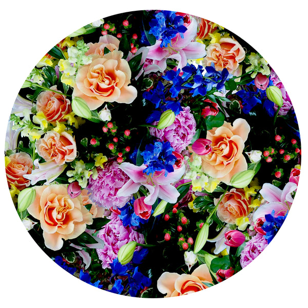 Bloom Boom - 5 Versions