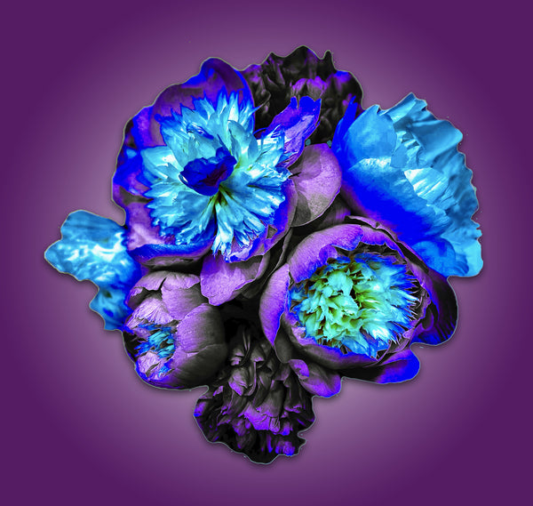 Bowl of Beauty Peonies - 6 Versions