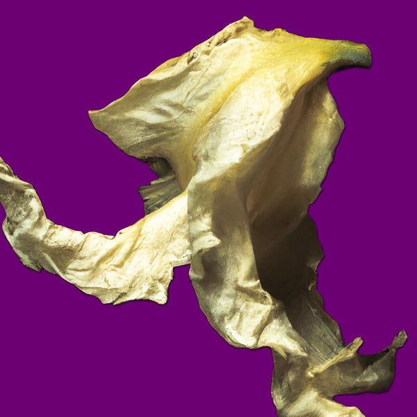 Faded Yellow Petal - 3 Versions