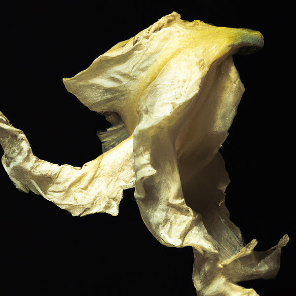 Faded Yellow Petal - 3 Versions