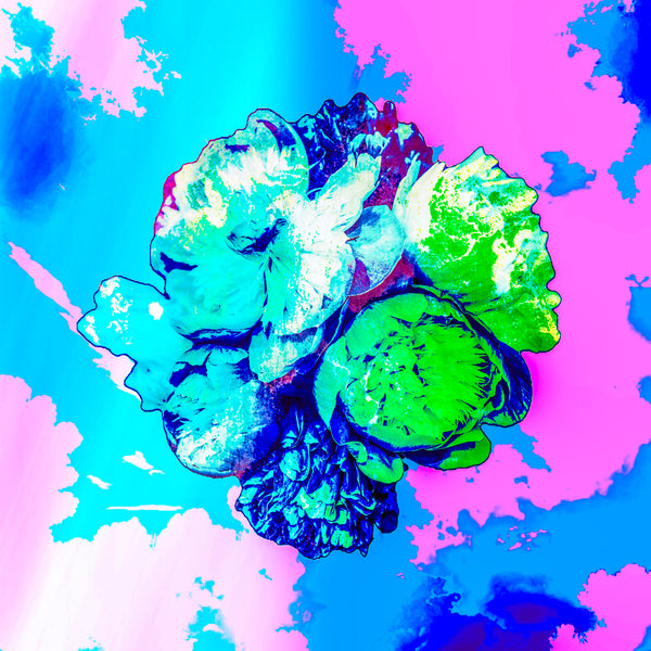 Not a Painting Peonies