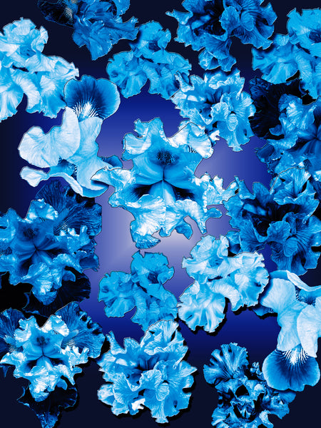 FB's Irises Photomontage Blue Story - 5 Versions