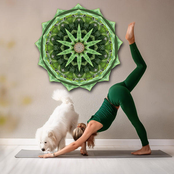 Green Thumb Mandalas 1-2-3