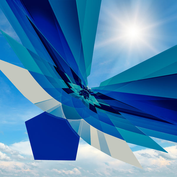 Freebird - 6 Versions