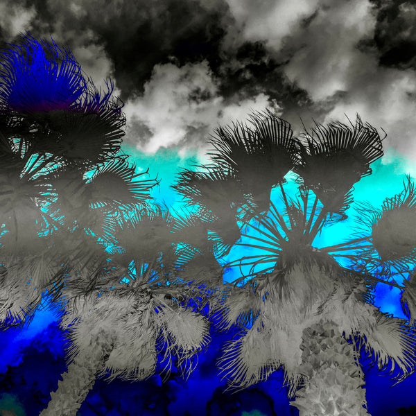 Get Shady- 4 Versions