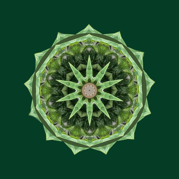 Green Thumb Mandalas 1-2-3