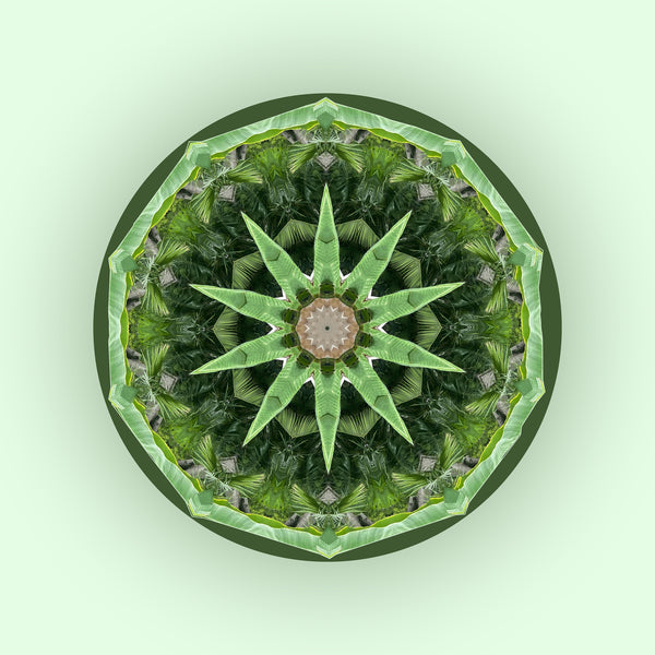 Green Thumb Mandalas 1-2-3