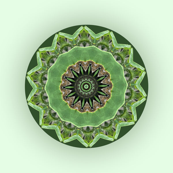 Green Thumb Mandalas 1-2-3