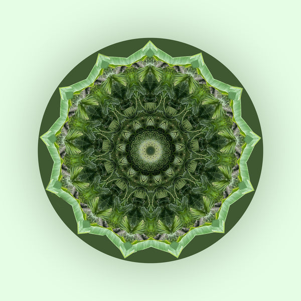 Green Thumb Mandalas 1-2-3