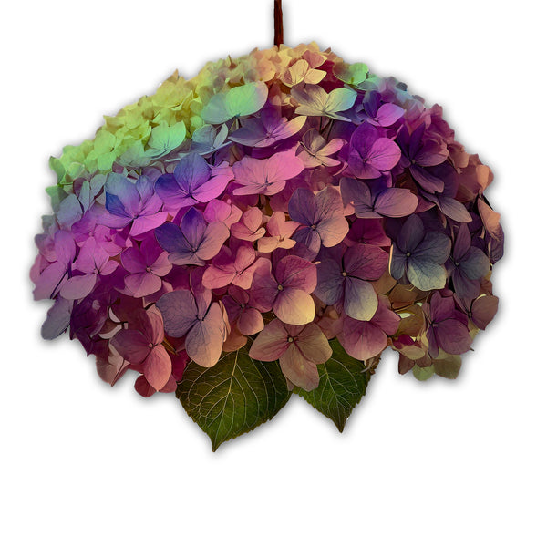 Hanging By a Thread-3 versions