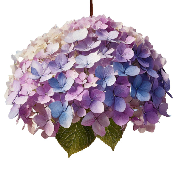 Hanging By a Thread-3 versions