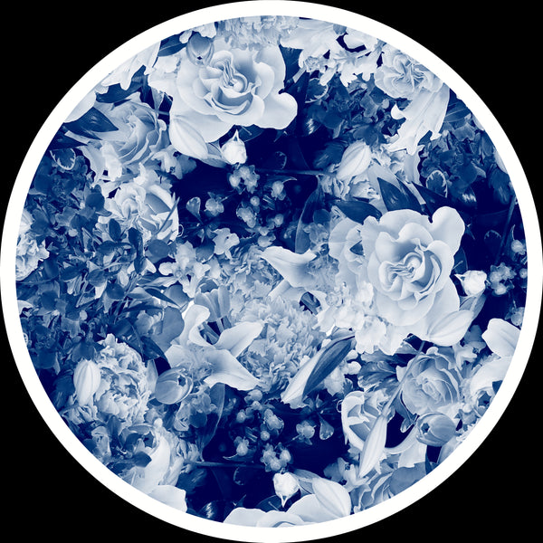 Bloom Boom - 5 Versions