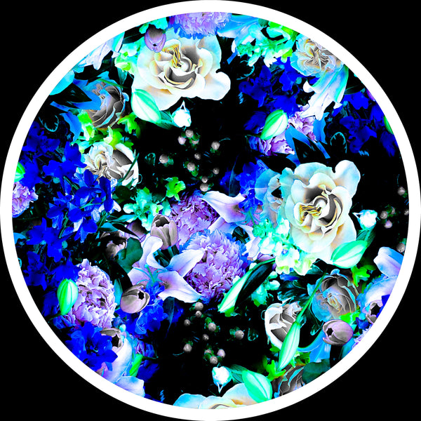 Bloom Boom - 5 Versions