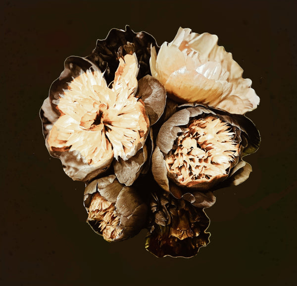 Bowl of Beauty Peonies - 6 Versions