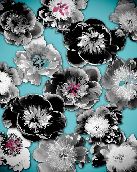 FB's Peony Photomontage - 4 Versions