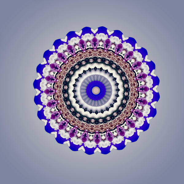 Purple Haze Mandalas 1-2-3-4
