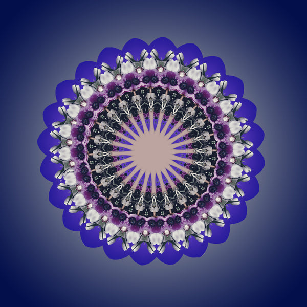 Purple Haze Mandalas 1-2-3-4